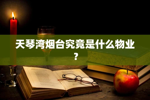 天琴湾烟台究竟是什么物业？